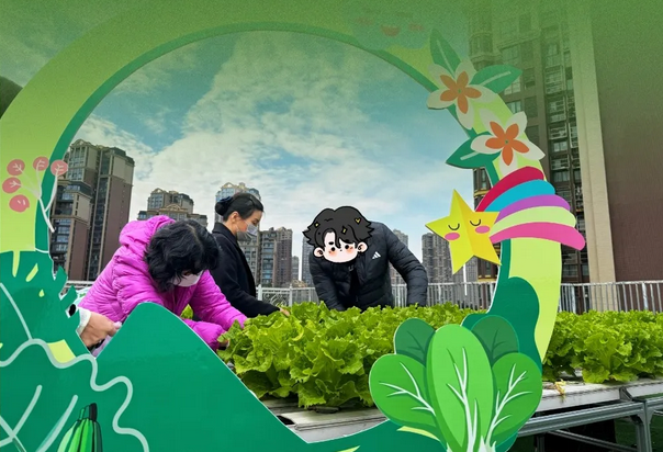 在成都月子中心坐月子，吃上自己采摘的新鲜有机蔬菜啦！2