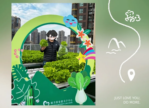 在成都月子中心坐月子，吃上自己采摘的新鲜有机蔬菜啦！4